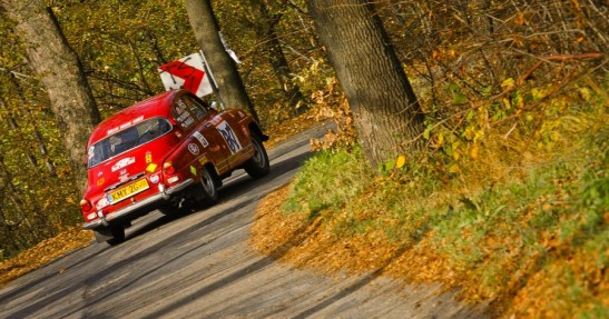 Rajd Żubrów 2013